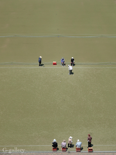 _1000704-L10.jpg