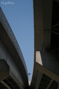 _1000729-L10.jpg