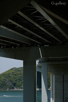 _1000741-L10.jpg