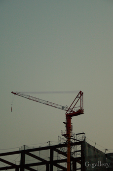 _1010085-L10.jpg