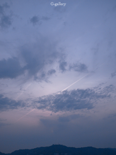 _1010206-5m.jpg