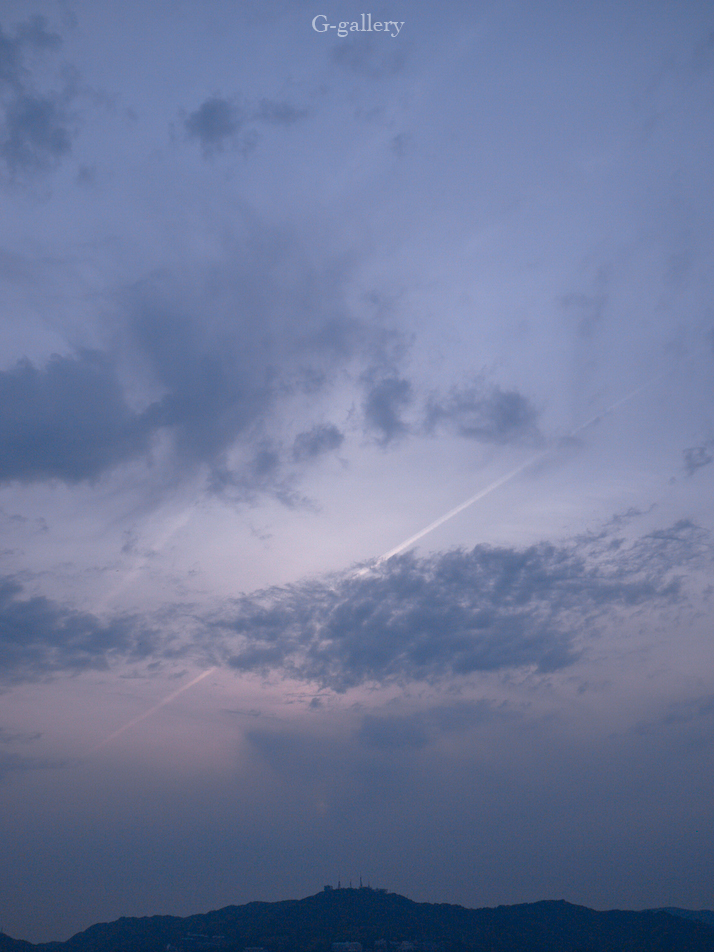_1010206-L10.jpg