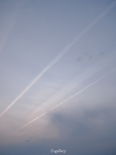 _1010220-5m.jpg
