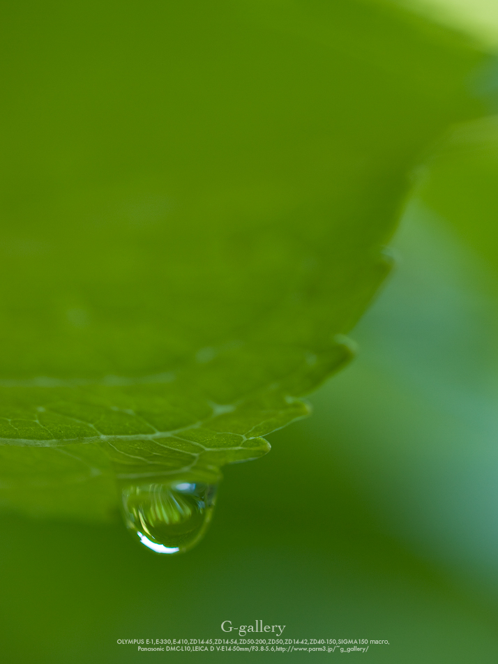 _1030329-E-1.jpg