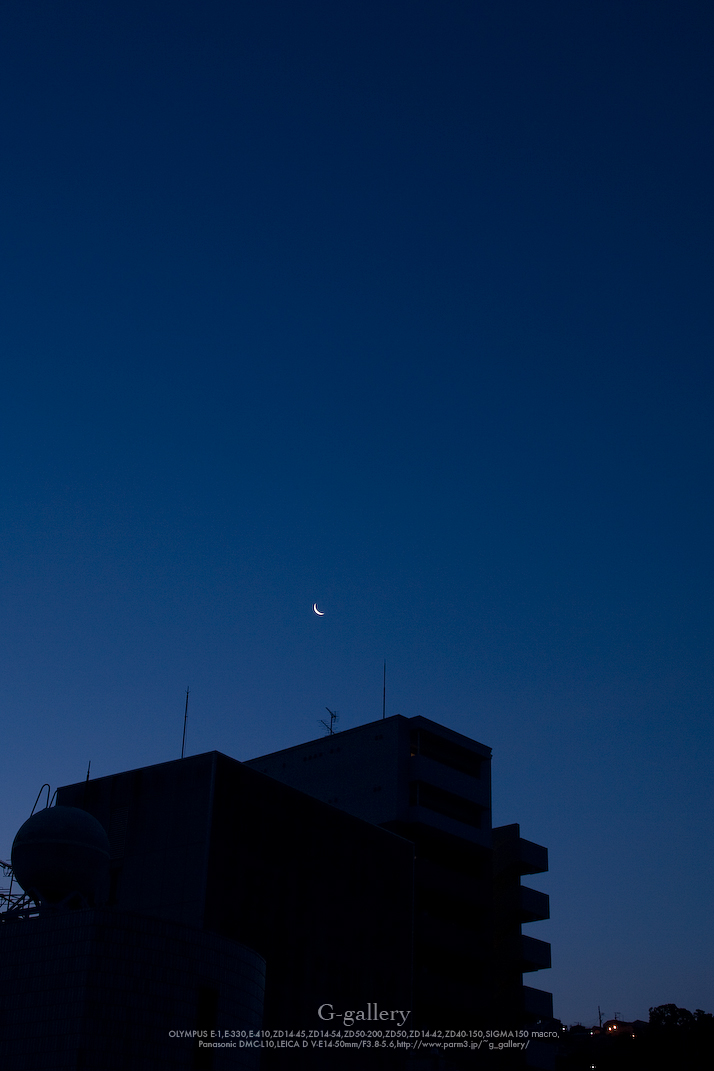 _1030423-L10.jpg