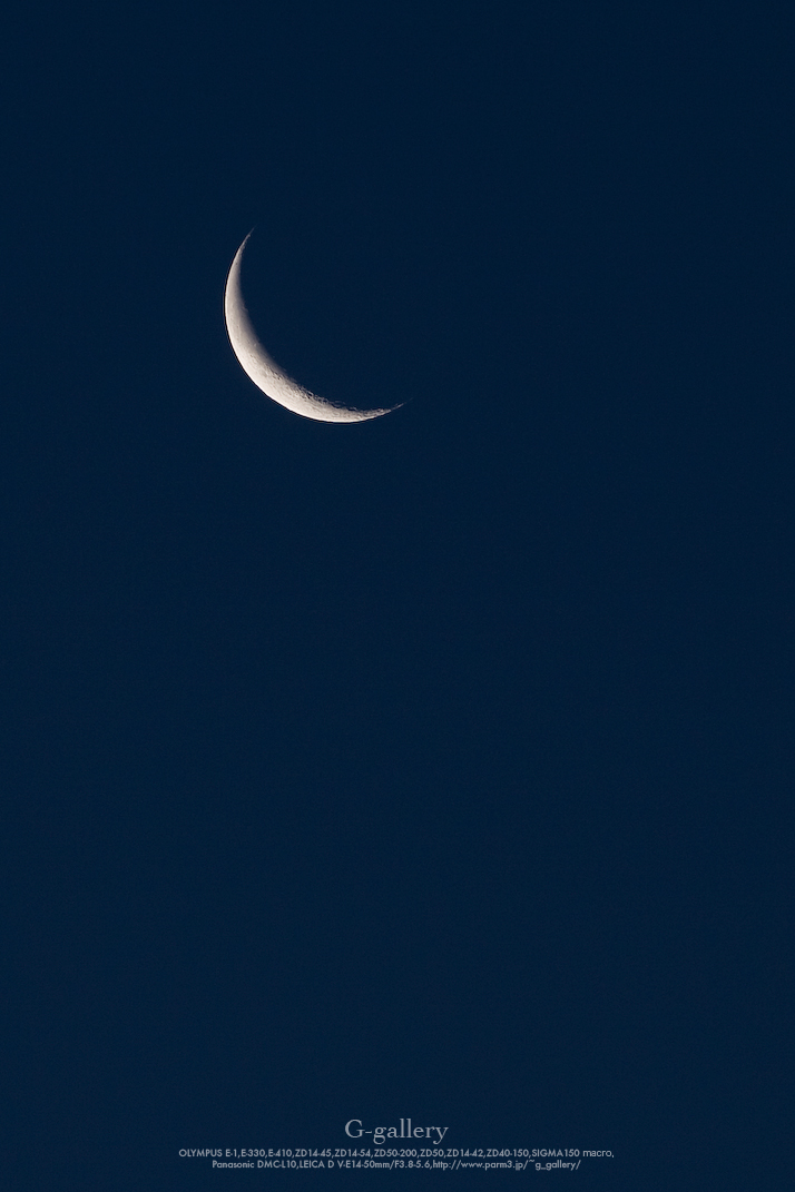 _1030436-L10.jpg