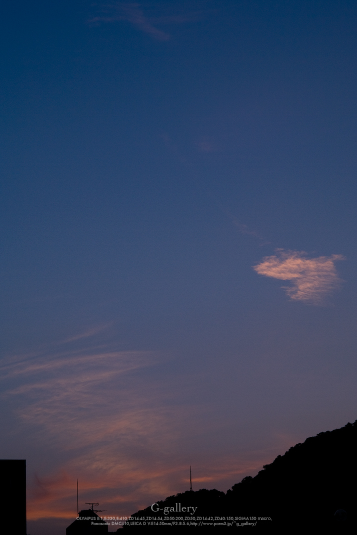 _1030462-L10.jpg