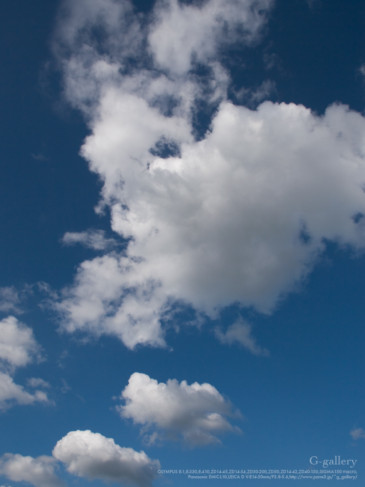 _1050982_srgb.jpg