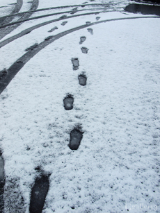_1132626-6201455m.jpg