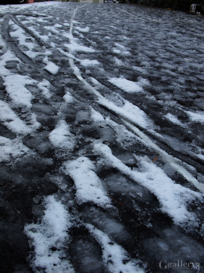 _1132636-6201456.jpg