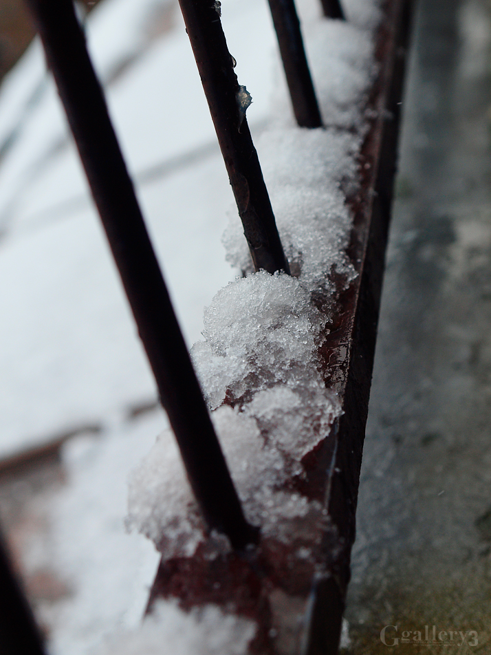 _1132682-6201463.jpg
