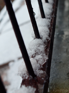 _1132682-6201463m.jpg