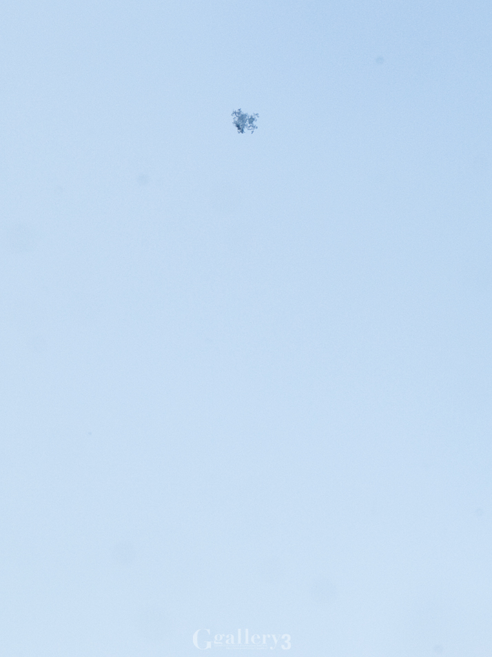 _1132692-6201465.jpg