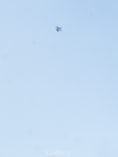 _1132692-6201465m.jpg