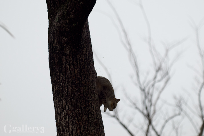 _3067946-620150.jpg