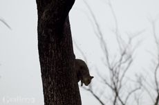 _3067946-620150m.jpg