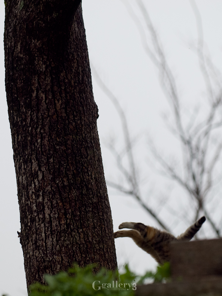 _3067947-620150.jpg