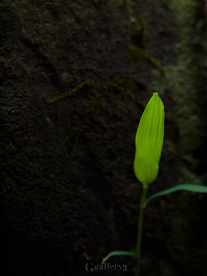 _3068052-620150.jpg