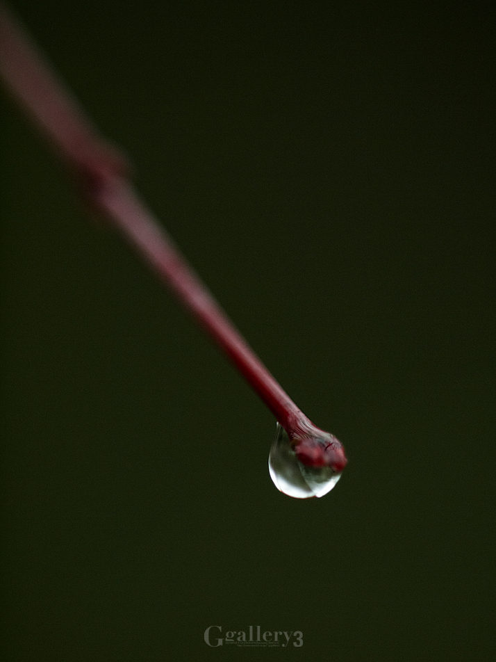 _3068108-620150.jpg