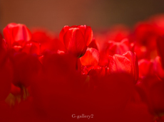 _3216363-LR.jpg