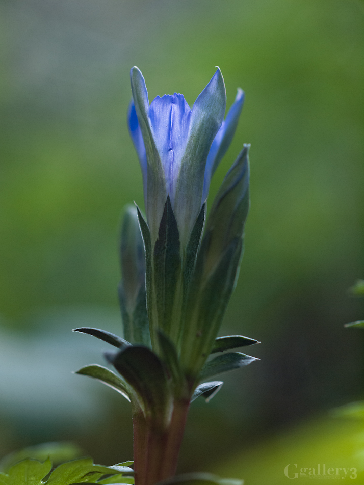 _3218870-620183.jpg