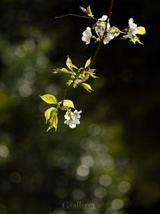_3229162-620_50-200m.jpg