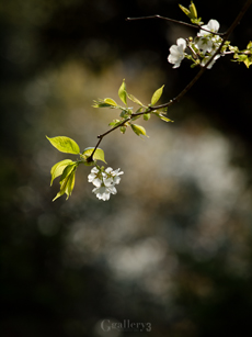 _3229182-620_50-200m.jpg