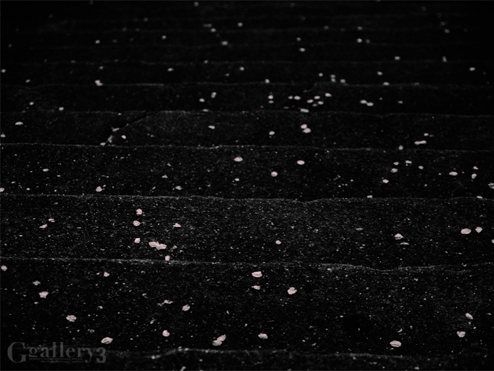 _3229377-620150_6.jpg