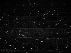 _3229377-620150_6M.jpg