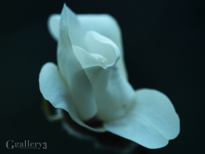 _3229377-620150_8.jpg