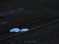 _3229377-620150m.jpg