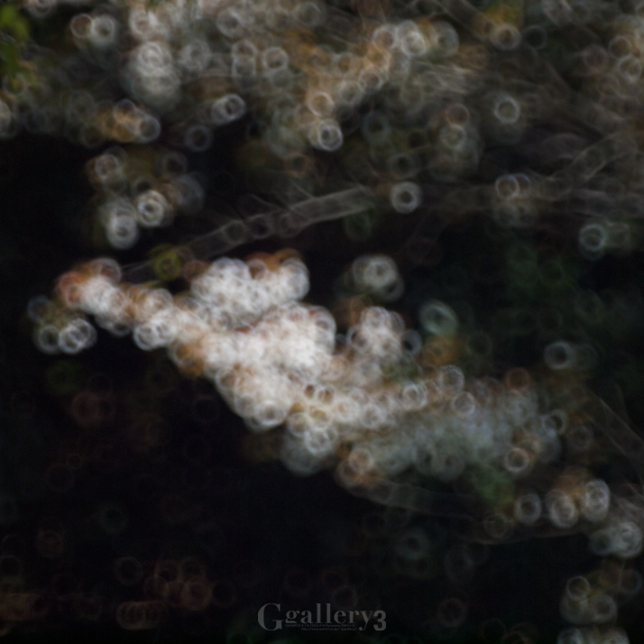 _4039965-620500.jpg