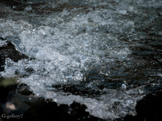 _8211127-LR.jpg