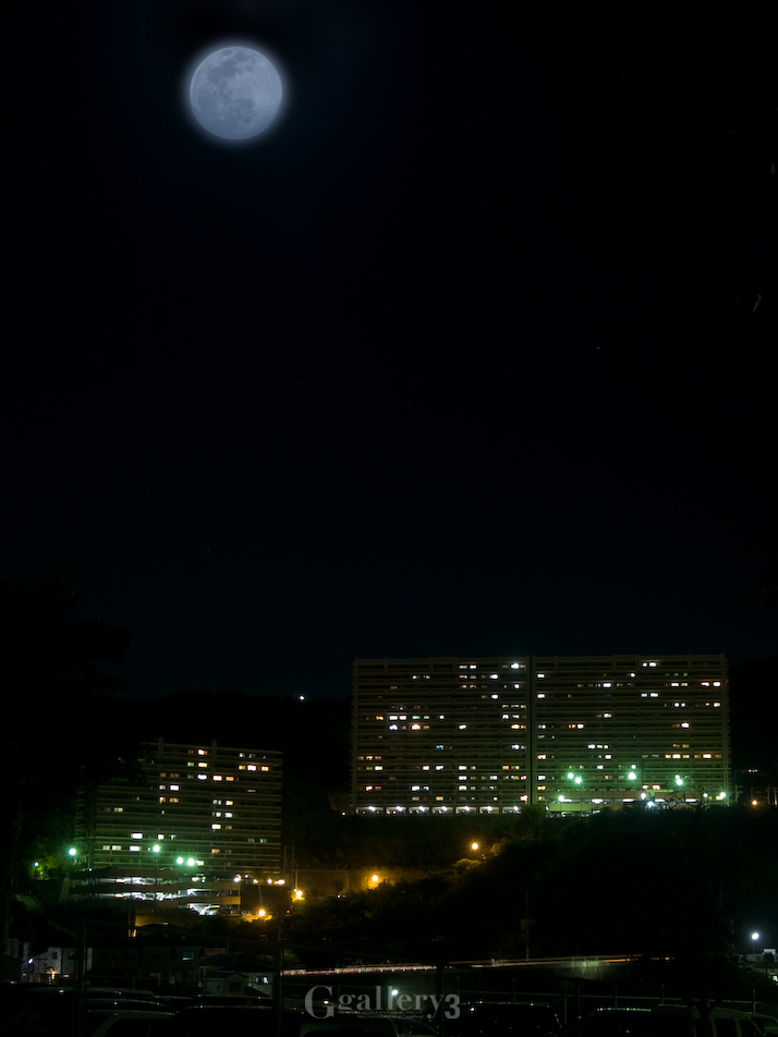 _9099893-5001454.jpg