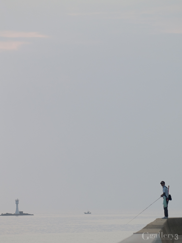 _9270072-500152.jpg