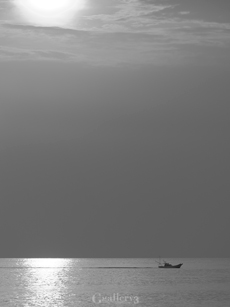 _9270082-500153m.jpg