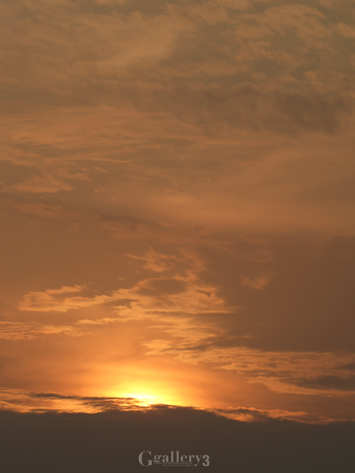 _9270107-500154.jpg