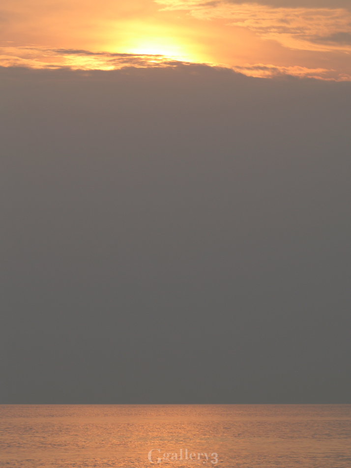 _9270110-500155.jpg