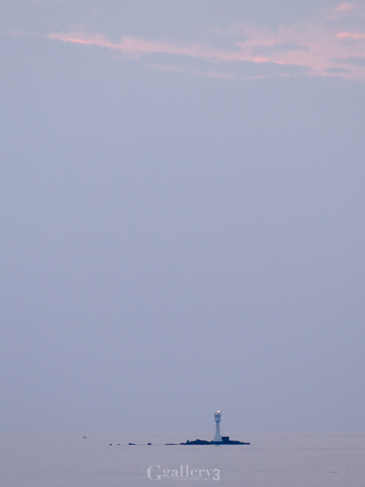_9270208-500162.jpg