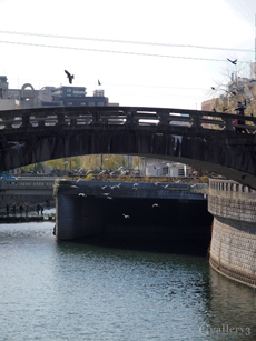 _C270995-3m.jpg