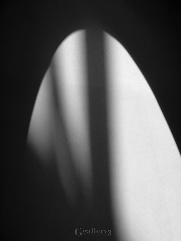 _6036172.jpg