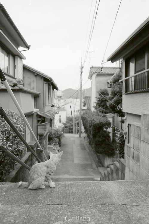 07_27_42m.jpg