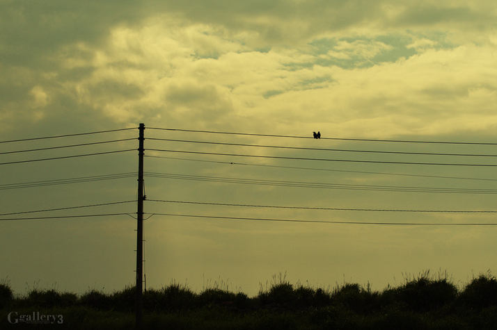 _A040375_2.jpg