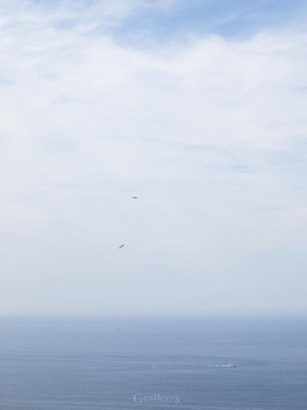 _A070526.jpg
