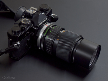 _A270940.jpg