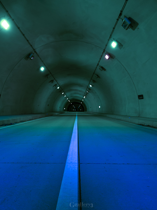 _9059988-2.jpg