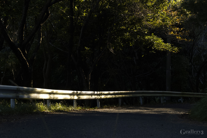 _A290254E-1.jpg