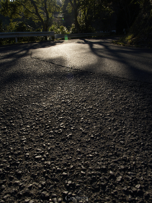 _A290268E-1.jpg