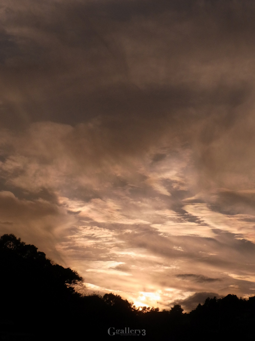 R0010347-1.jpg