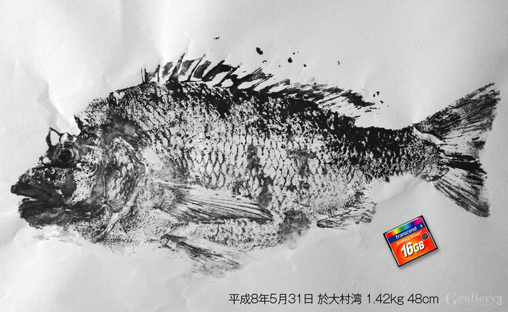 _A174150_chinu.jpg
